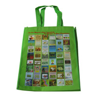 柳州LB11覆膜无纺布广告袋